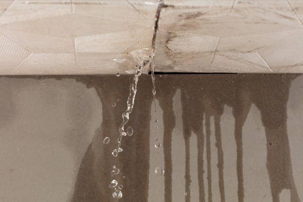 Professional Sewage Cleanup technician working in Edgewood, FL